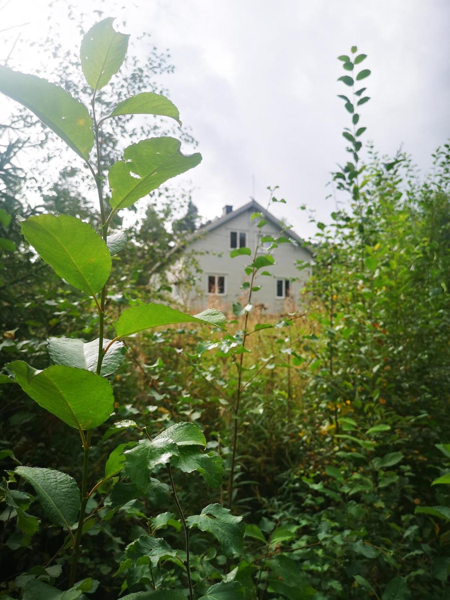 Villa Ka Stor Elvdal Koppang Bagian luar foto