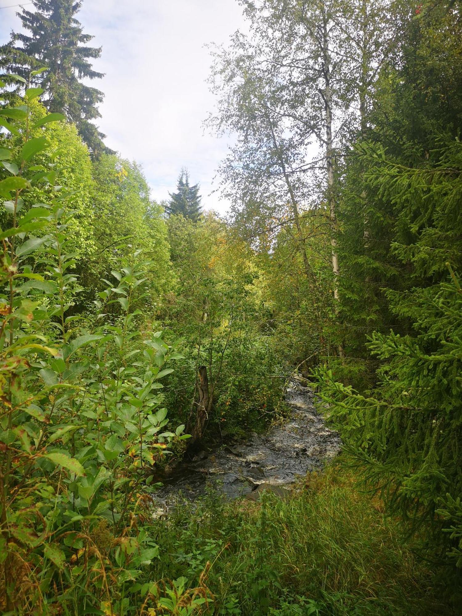 Villa Ka Stor Elvdal Koppang Bagian luar foto