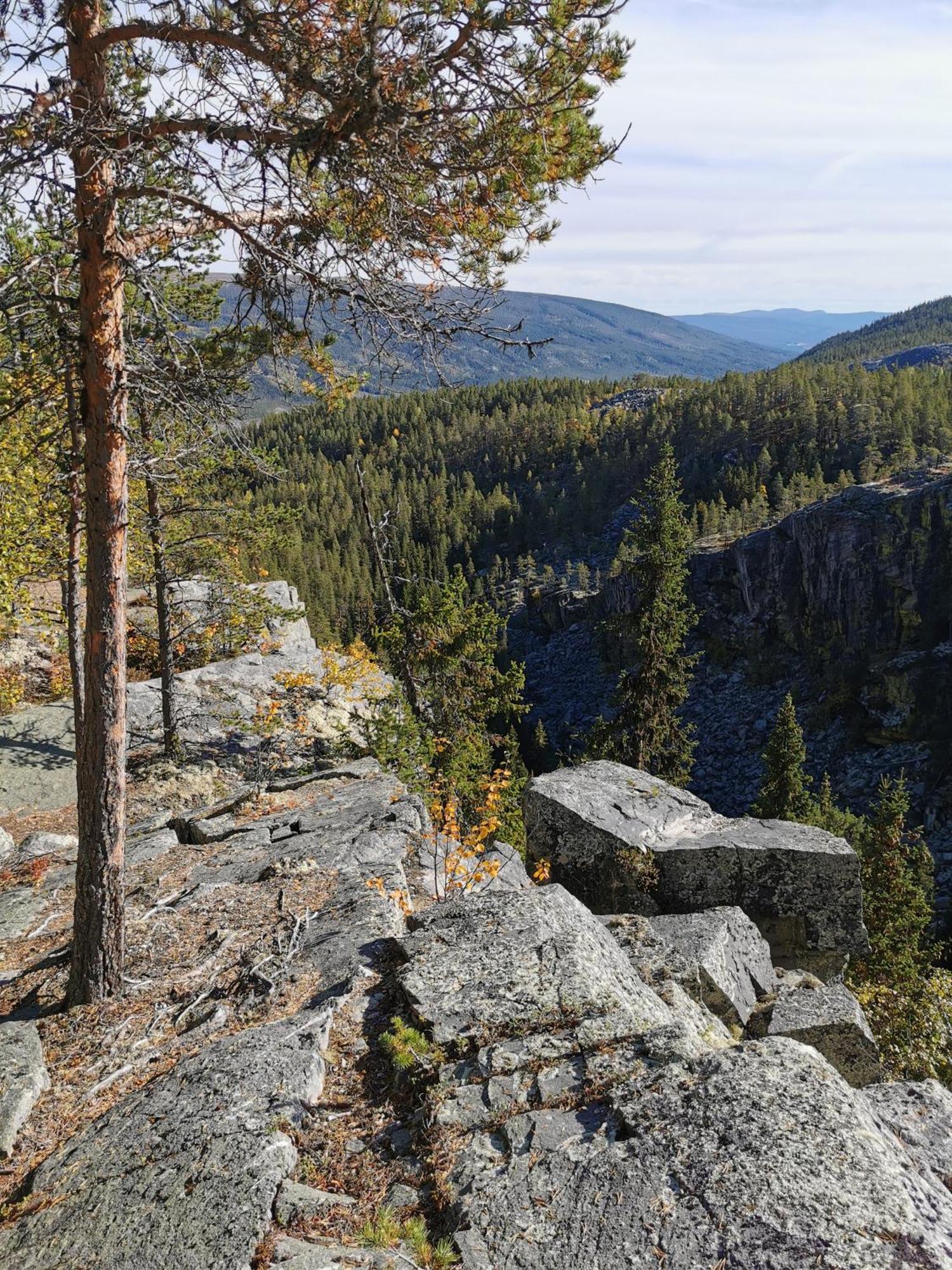 Villa Ka Stor Elvdal Koppang Bagian luar foto