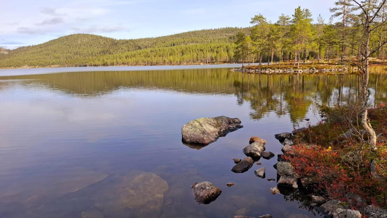 Villa Ka Stor Elvdal Koppang Bagian luar foto
