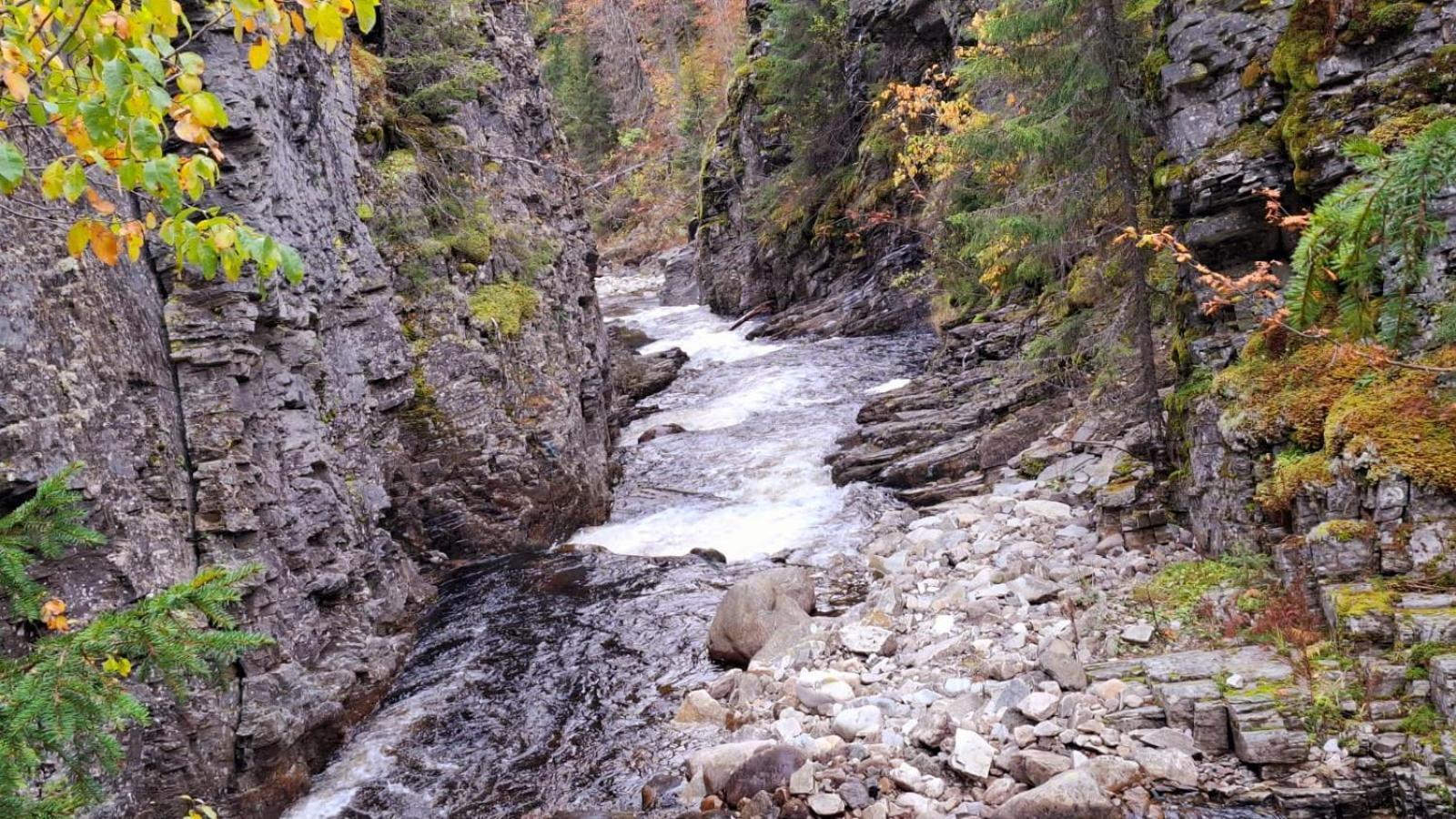 Villa Ka Stor Elvdal Koppang Bagian luar foto